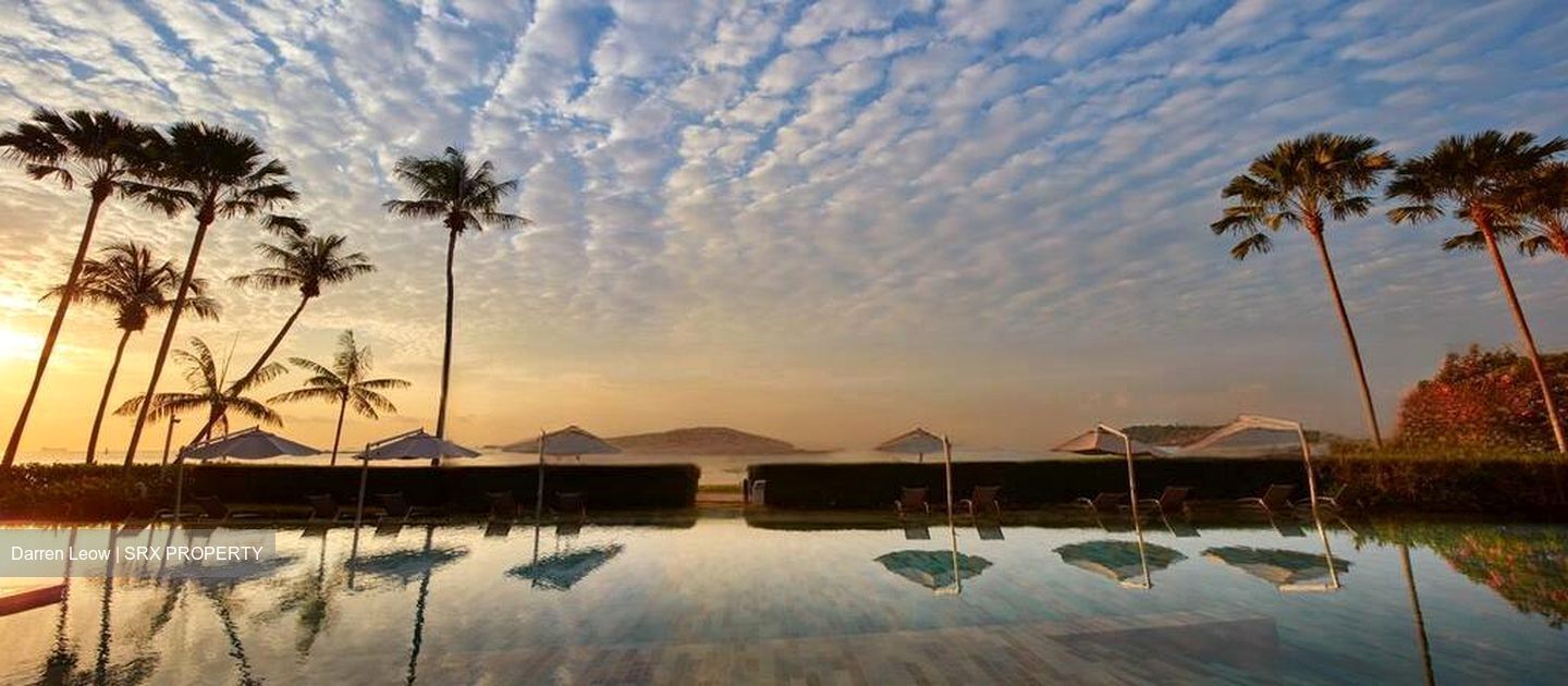 Cove Grove (D4), Apartment #482033281